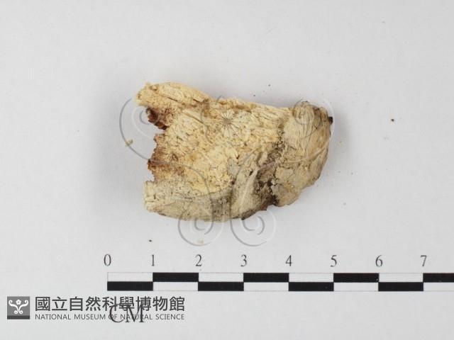 登錄號:F0024015藏品圖，第3張