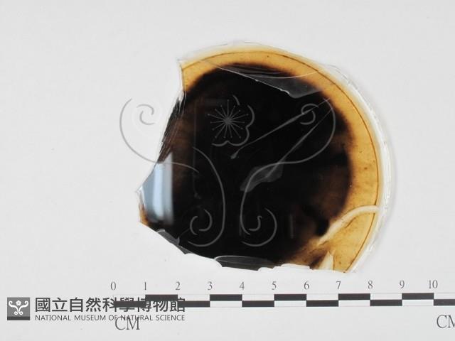 登錄號:F0022015藏品圖，第3張
