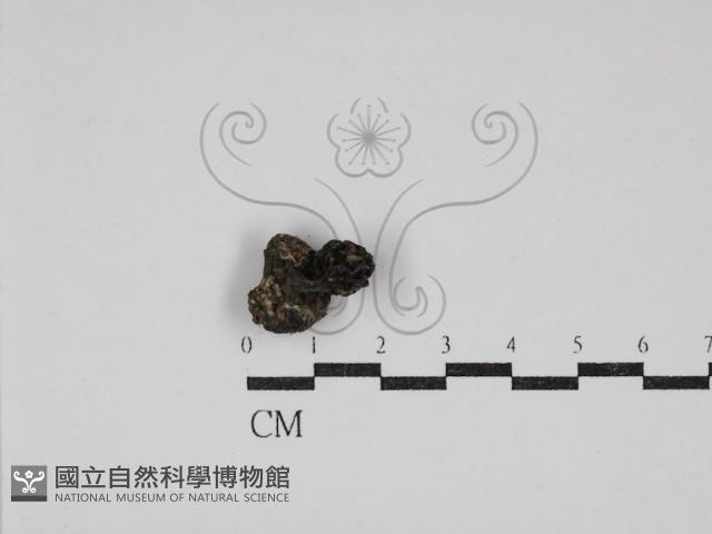 登錄號:F0030855藏品圖，第3張