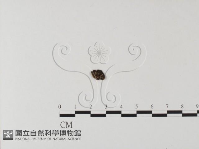 登錄號:F0001755藏品圖，第3張
