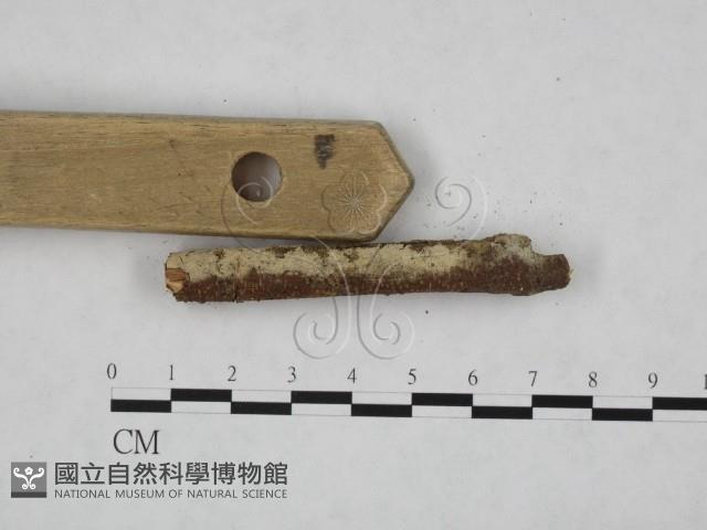 登錄號:F0024755藏品圖，第3張