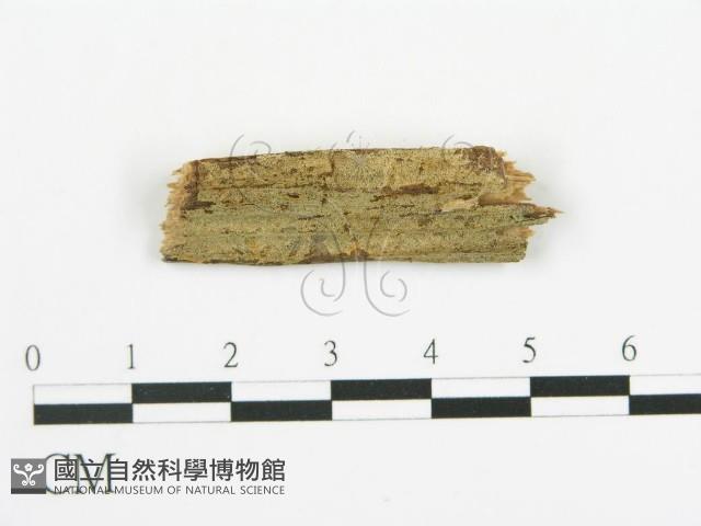 登錄號:F0015755藏品圖，第1張