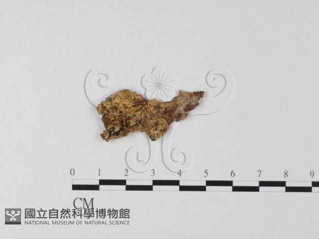 登錄號:F0025555藏品圖，第3張