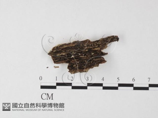 登錄號:F0020155藏品圖，第3張