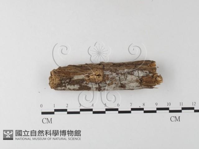 登錄號:F0022155藏品圖，第3張