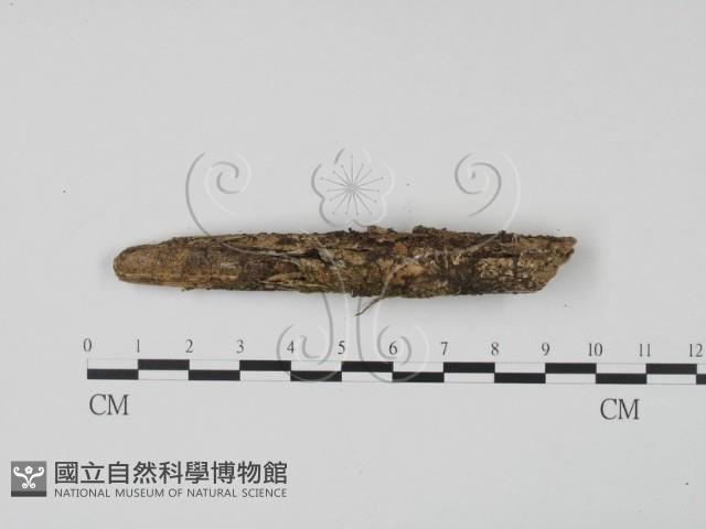 登錄號:F0021055藏品圖，第3張