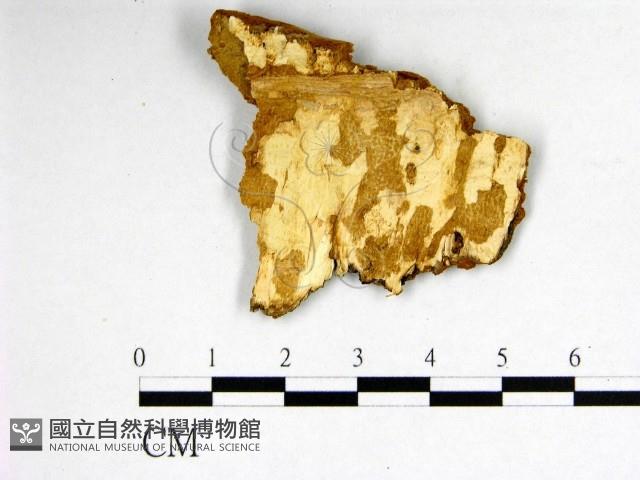 登錄號:F0006245藏品圖，第3張