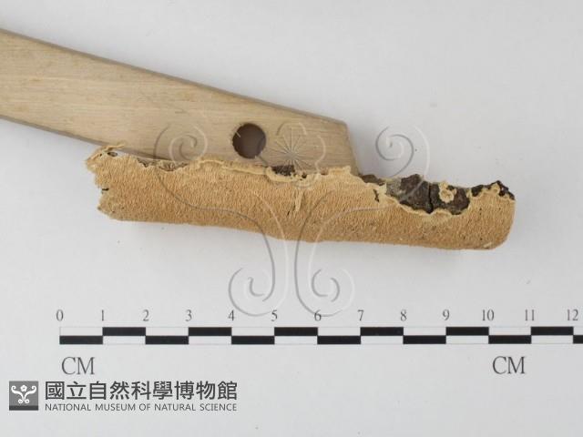 登錄號:F0004245藏品圖，第3張