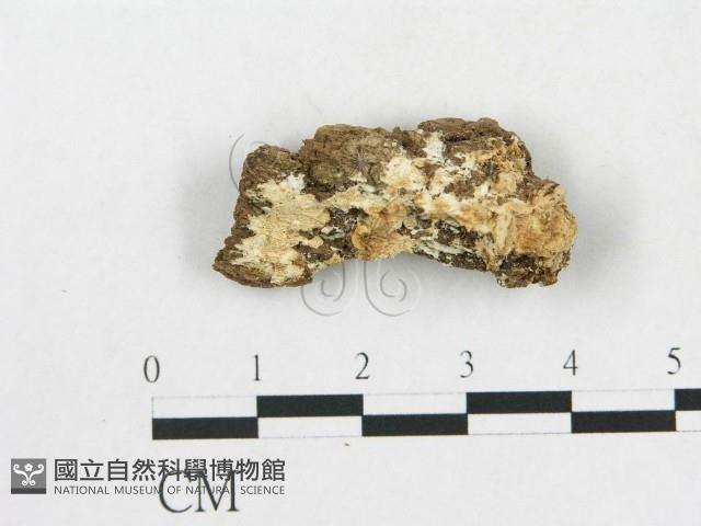 登錄號:F0017245藏品圖，第1張