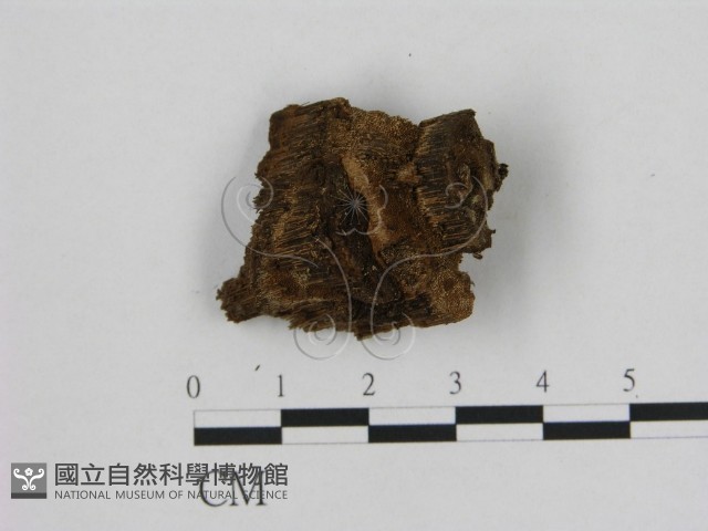 登錄號:F0006945藏品圖，第3張