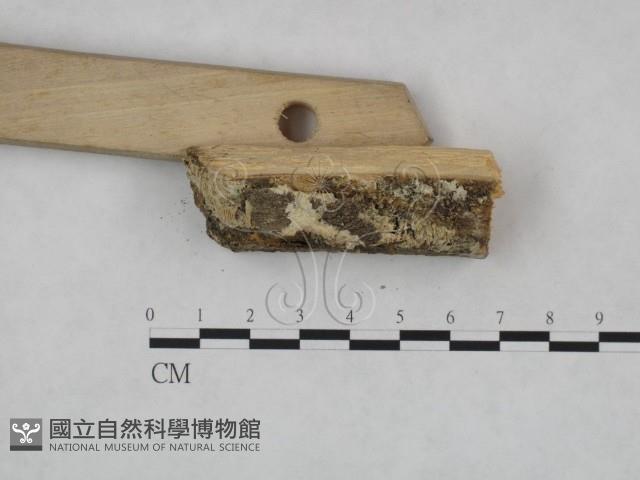 登錄號:F0023945藏品圖，第3張