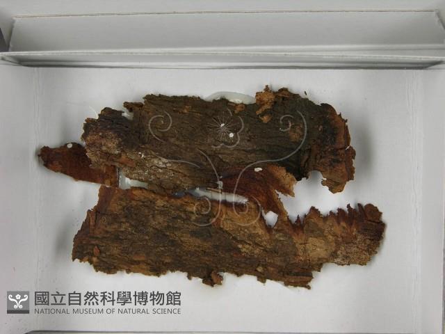 登錄號:F0021645藏品圖，第3張