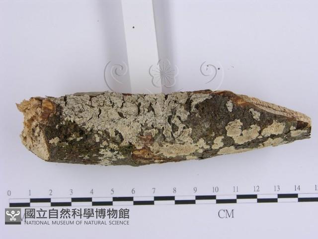 登錄號:F0001645藏品圖，第3張