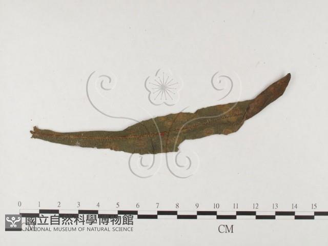 登錄號:F0026445藏品圖，第1張