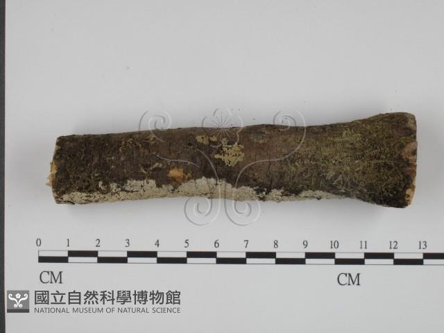 登錄號:F0024745藏品圖，第3張