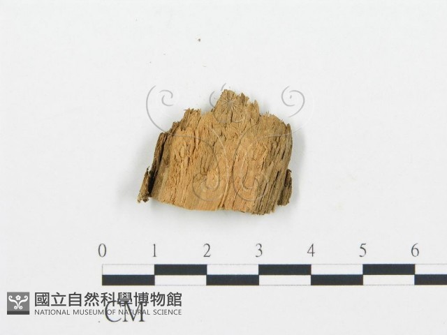 登錄號:F0005745藏品圖，第3張