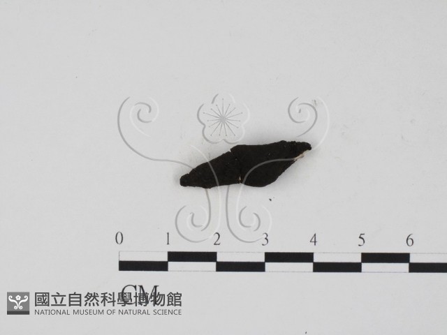 登錄號:F0009545藏品圖，第3張