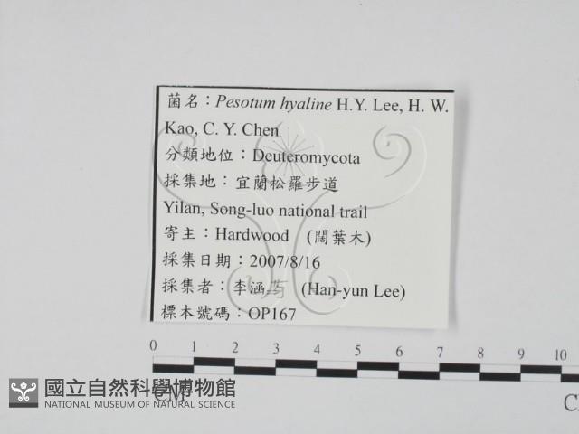 登錄號:F0022145藏品圖，第3張