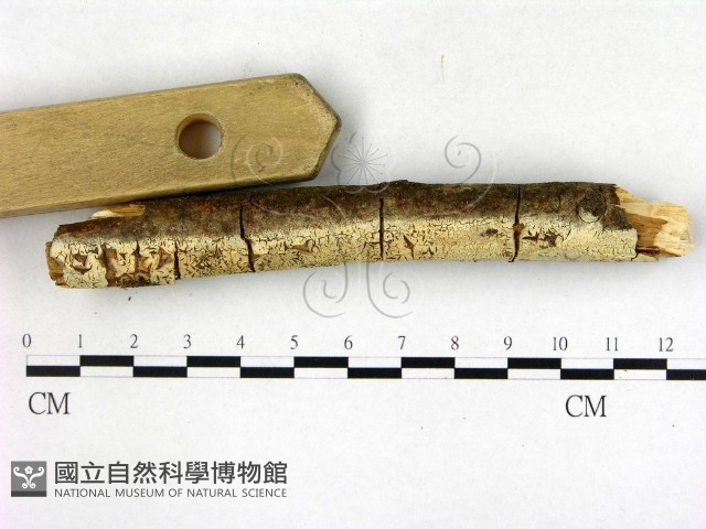 登錄號:F0003145藏品圖，第3張