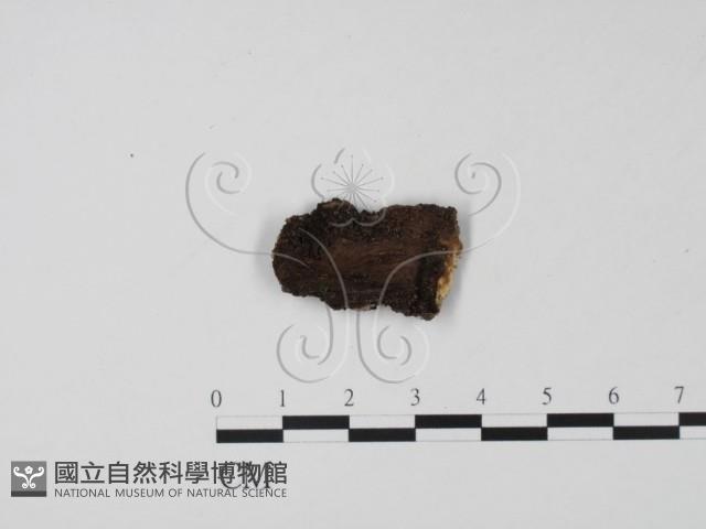 登錄號:F0021045藏品圖，第3張
