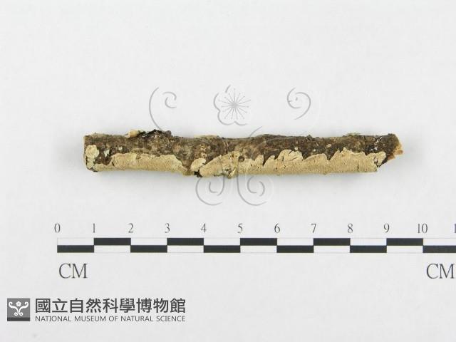 登錄號:F0001045藏品圖，第3張