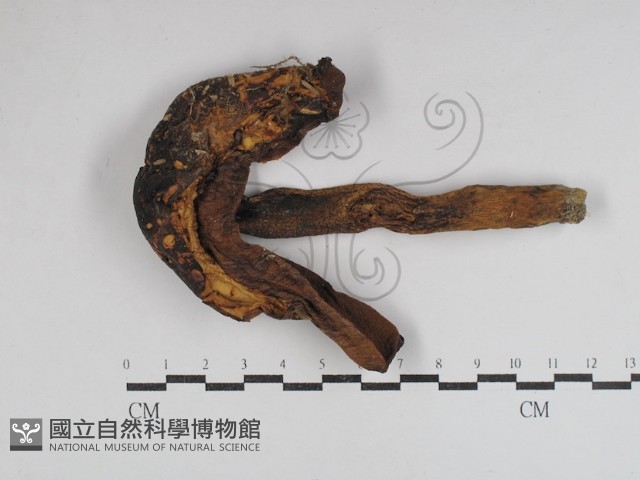 登錄號:F0031045藏品圖，第3張