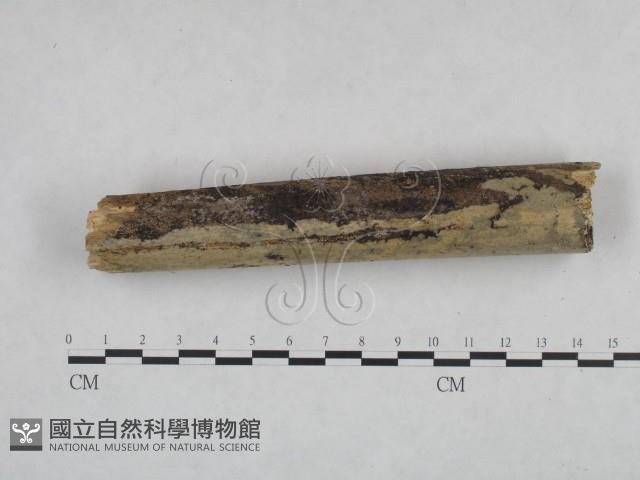 登錄號:F0025045藏品圖，第3張