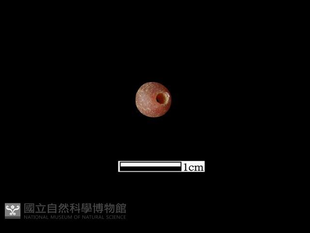 玻璃珠藏品圖，第3張