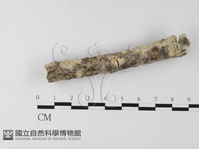 登錄號:F0010235藏品圖，第3張