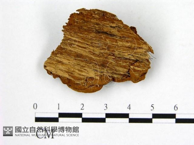 登錄號:F0006235藏品圖，第3張