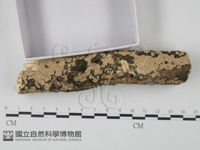 登錄號:F0022235藏品圖，第3張