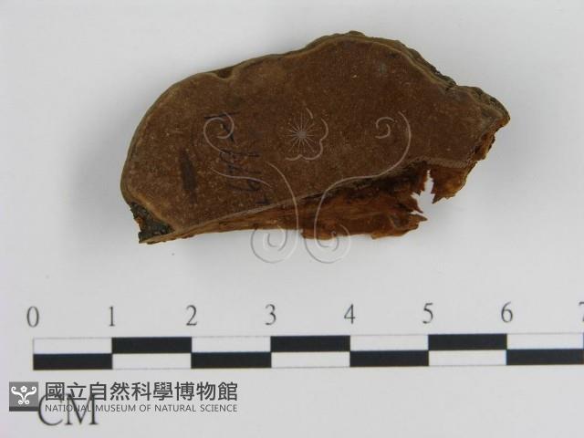 登錄號:F0018835藏品圖，第1張