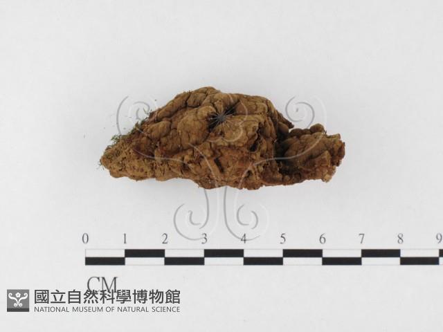 登錄號:F0026835藏品圖，第3張