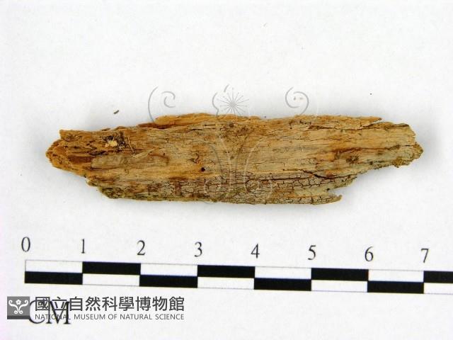 登錄號:F0016835藏品圖，第3張