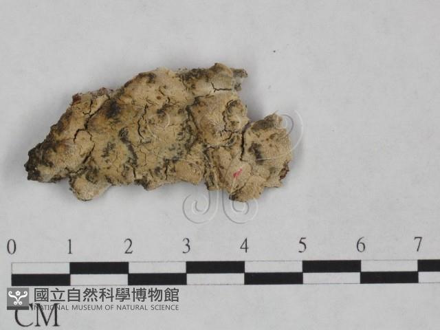 登錄號:F0023835藏品圖，第3張