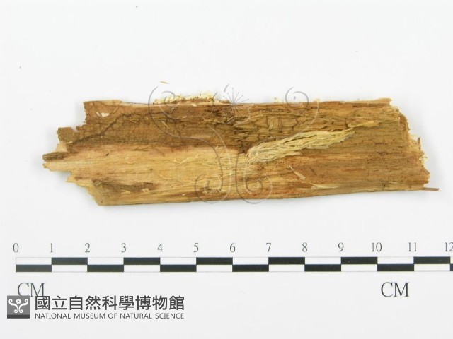 登錄號:F0013935藏品圖，第3張