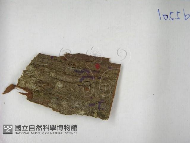 登錄號:F0021635藏品圖，第3張