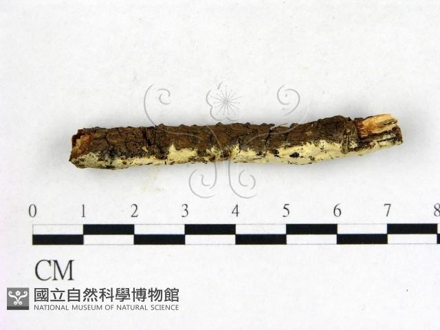 登錄號:F0022635藏品圖，第3張