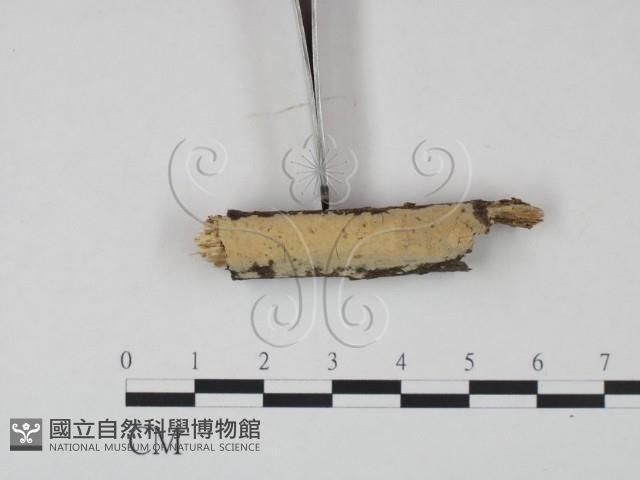 登錄號:F0021735藏品圖，第3張
