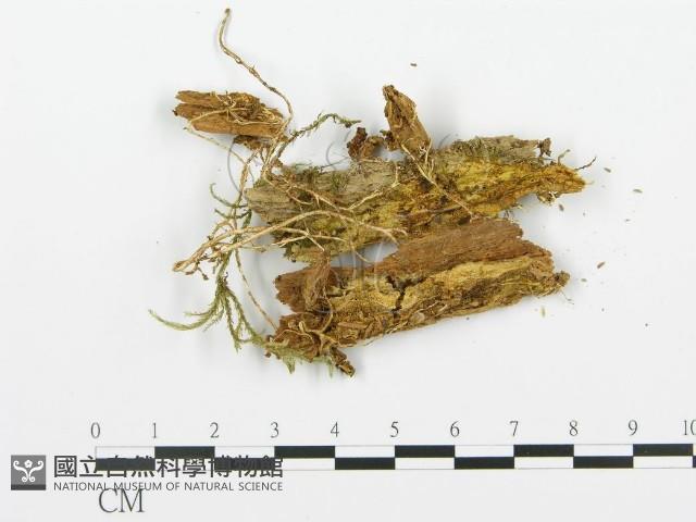 登錄號:F0015735藏品圖，第1張