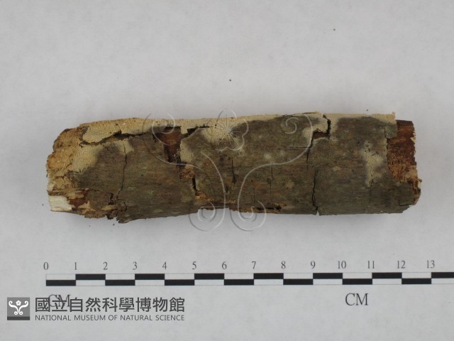 登錄號:F0023735藏品圖，第3張