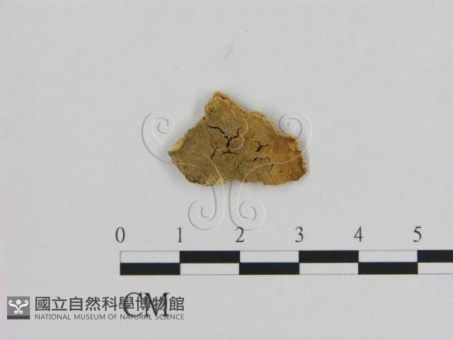 登錄號:F0006535藏品圖，第3張