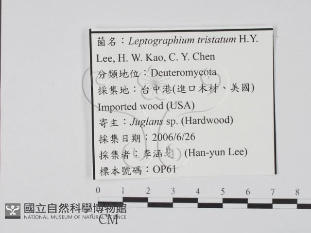 登錄號:F0022135藏品圖，第3張