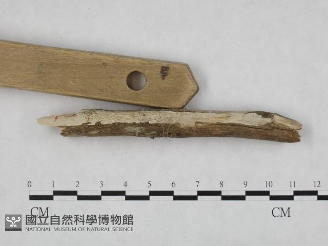 登錄號:F0004035藏品圖，第3張