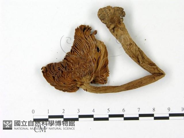 登錄號:F0023035藏品圖，第3張