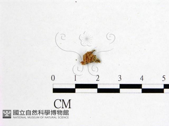 登錄號:F0001275藏品圖，第3張