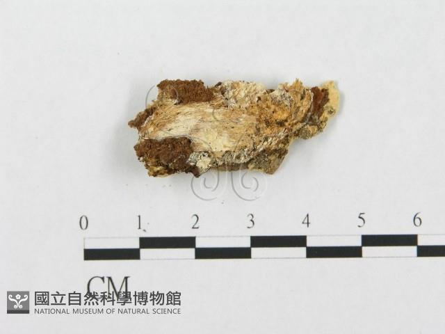 Accession Number:F0007275 Collection Image, Figure 3, Total 4 Figures