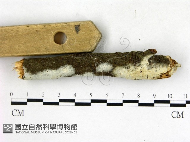 登錄號:F0022675藏品圖，第3張