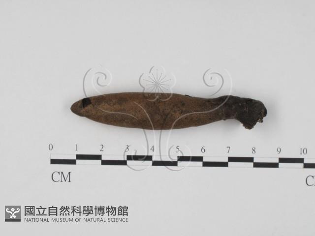 登錄號:F0005675藏品圖，第3張
