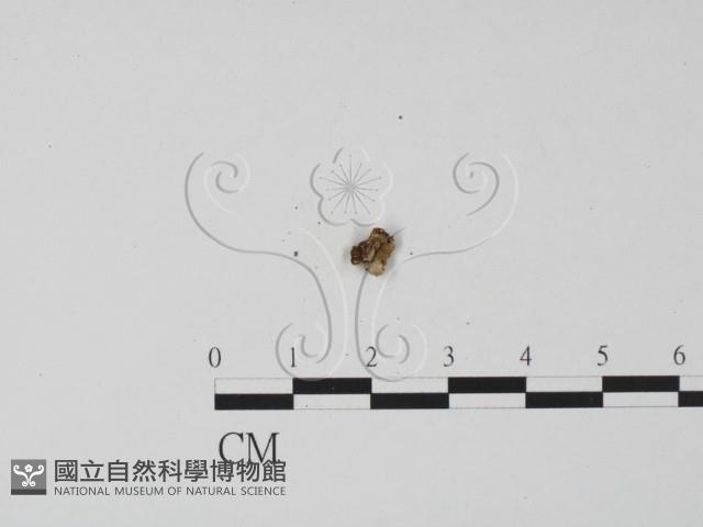 登錄號:F0019675藏品圖，第3張